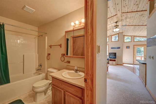 115 Mushroom Court, Buena Vista, CO 81211