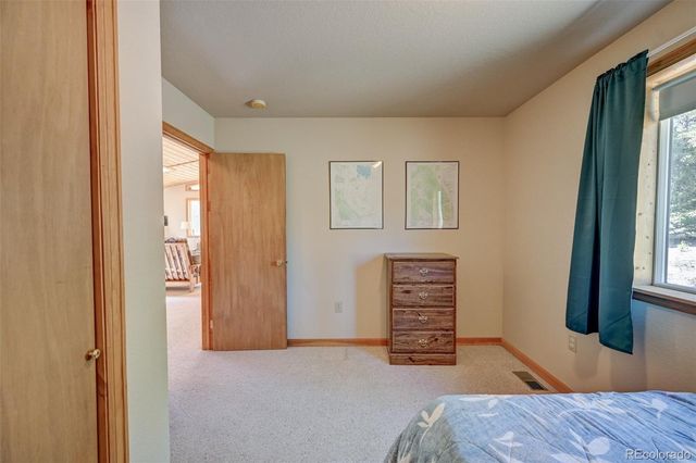 115 Mushroom Court, Buena Vista, CO 81211