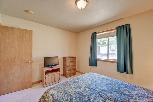 115 Mushroom Court, Buena Vista, CO 81211