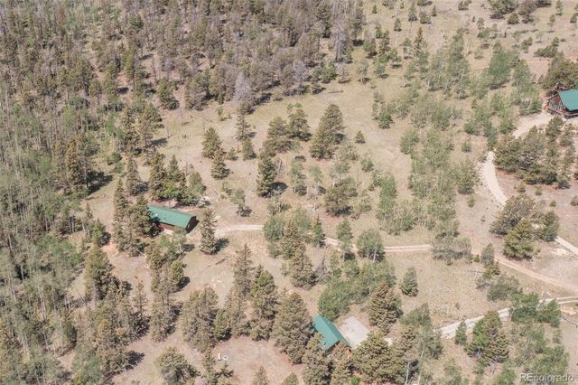 115 Mushroom Court, Buena Vista, CO 81211