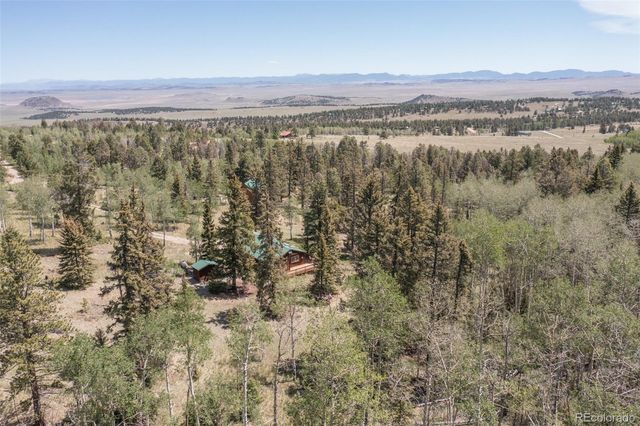 115 Mushroom Court, Buena Vista, CO 81211