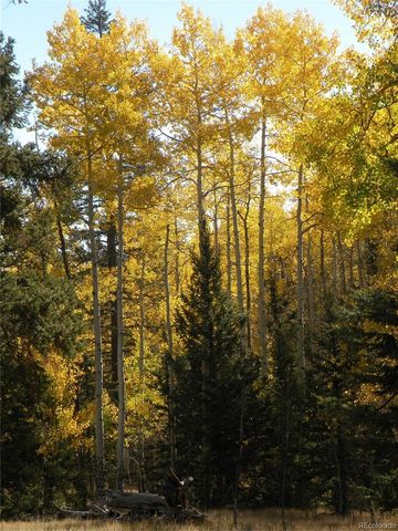 115 Mushroom Court, Buena Vista, CO 81211