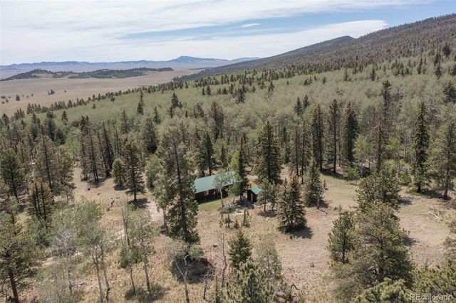 115 Mushroom Court, Buena Vista, CO 81211