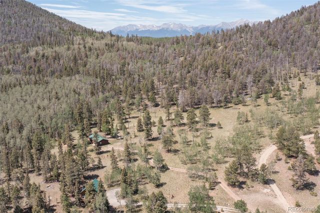 115 Mushroom Court, Buena Vista, CO 81211