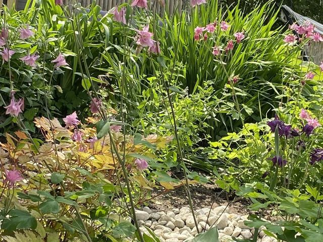 24 East Street, Enosburg, VT 05450