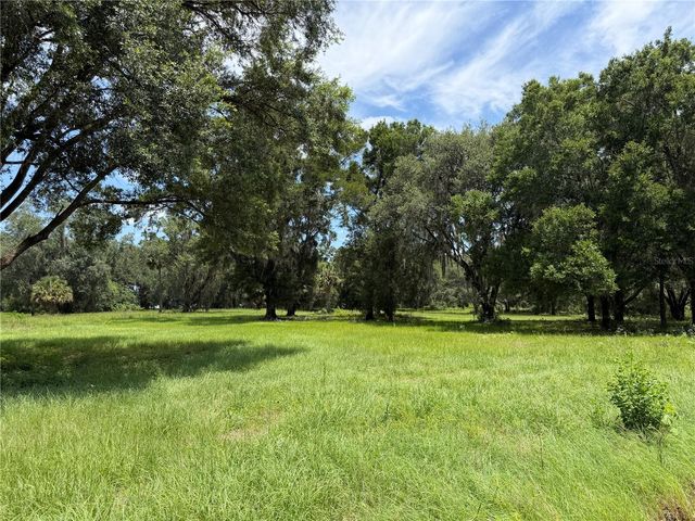 TBD NW 329, Reddick, FL 32686