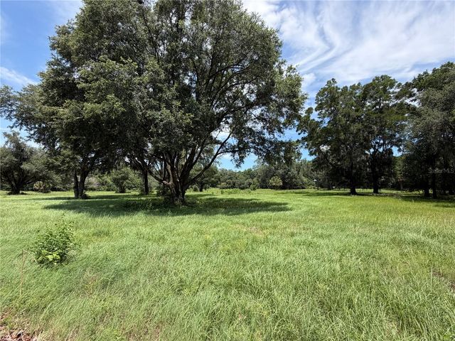 TBD NW 329, Reddick, FL 32686
