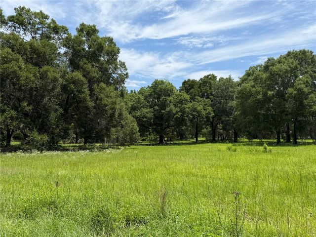 TBD NW 329, Reddick, FL 32686