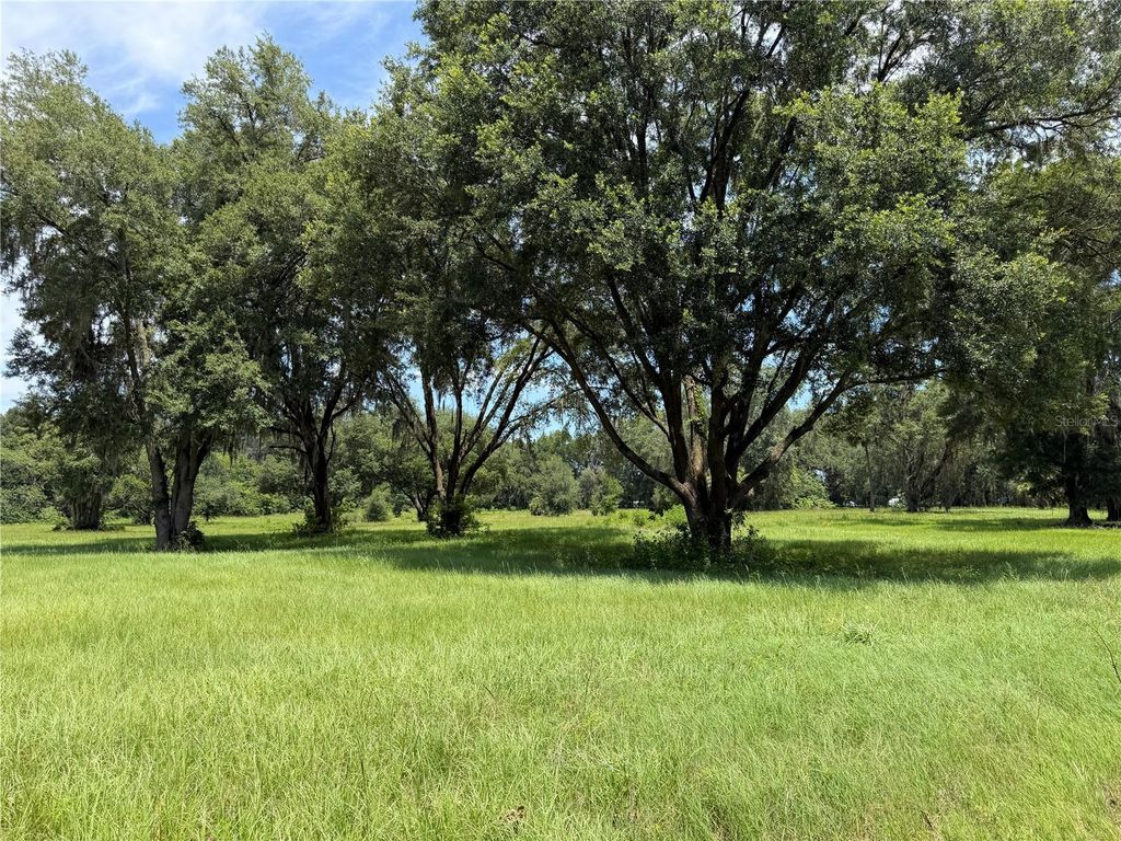 TBD NW 329, Reddick, FL 32686