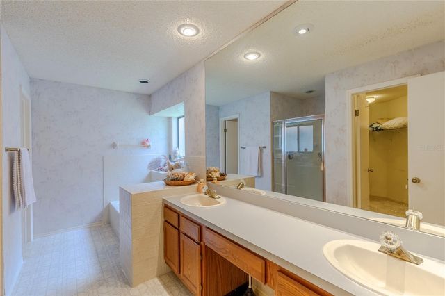 18315 CYPRESS STAND CIRCLE, Tampa, FL 33647