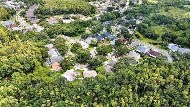 18315 CYPRESS STAND CIRCLE, Tampa, FL 33647