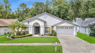 18315 CYPRESS STAND CIRCLE, Tampa, FL 33647
