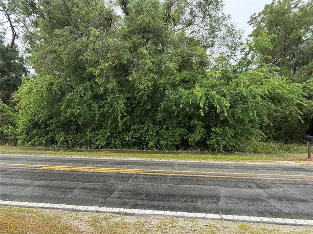 34184 RIDGE MANOR BLVD, Dade City, FL 33523