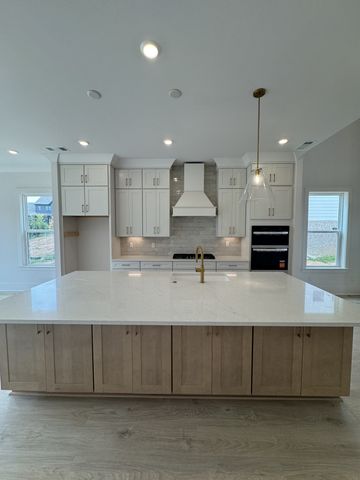 5205 Fairhaven Ct, N, Thompsons Station, TN 37179