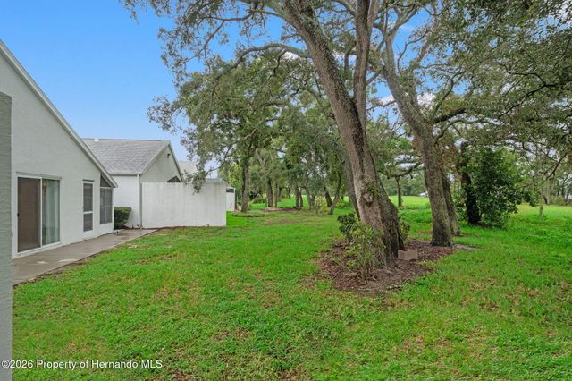 11031 Casa Grande Circle, Spring Hill, FL 34608