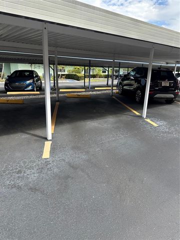 5971 TERRACE PARK DRIVE N 310, St Petersburg, FL 33709