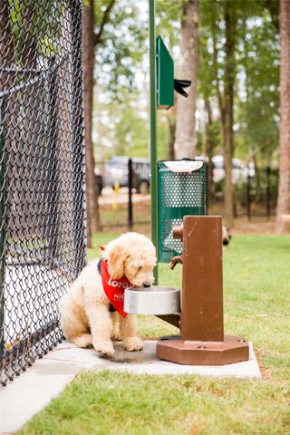 403 Venado View Court, Conroe, TX 77304