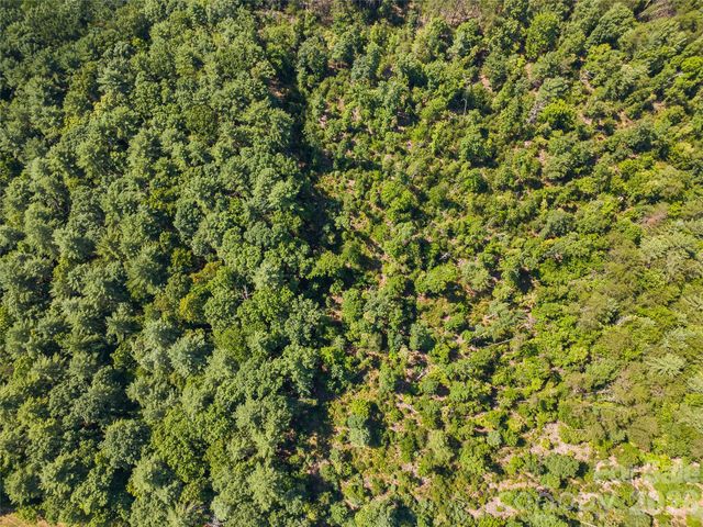 0 Burns Road, Granite Falls, NC 28630