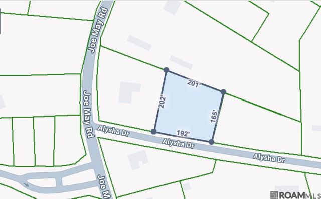 TBD Alysha Dr, Denham Springs, LA 70726