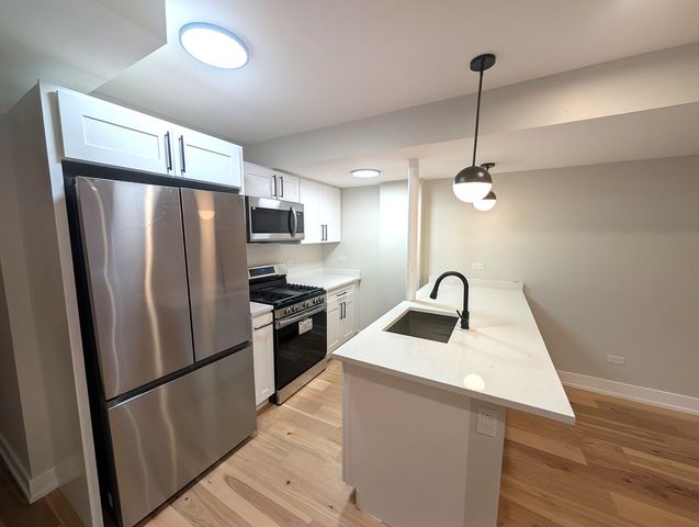 616 W Patterson Avenue 1E, Chicago, IL 60613