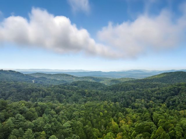 330 Skyview Drive, Ellijay, GA 30536