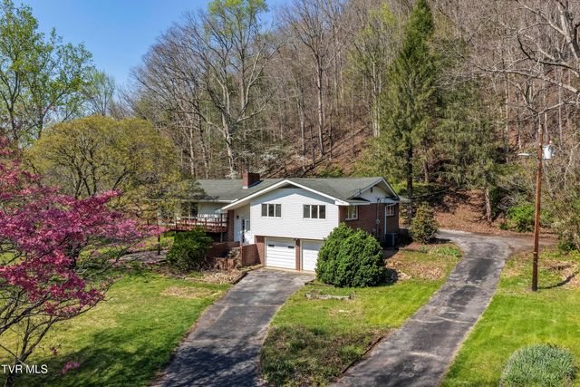 375 Okolona Drive, Erwin, TN 37650