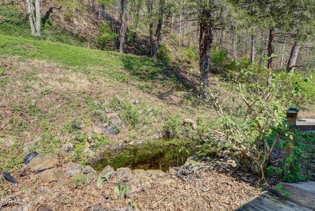 375 Okolona Drive, Erwin, TN 37650