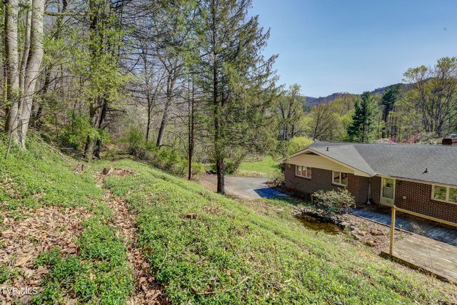 375 Okolona Drive, Erwin, TN 37650