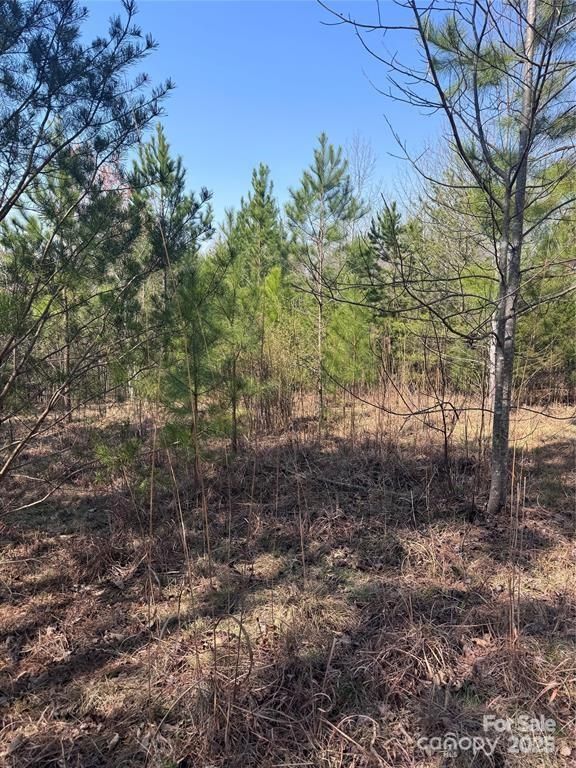 0 Cross Creek Drive 277, Rutherfordton, NC 28139