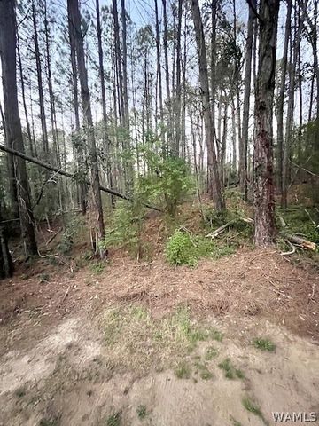 11417 Hunter, Coker, AL 35452