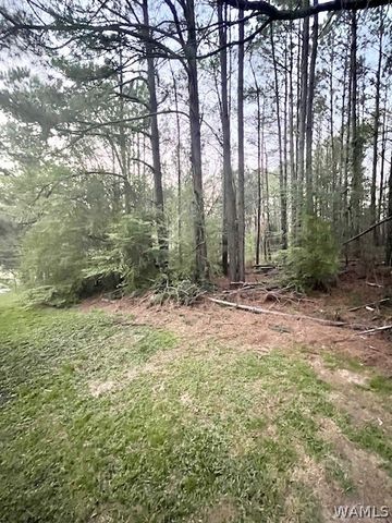 11417 Hunter, Coker, AL 35452