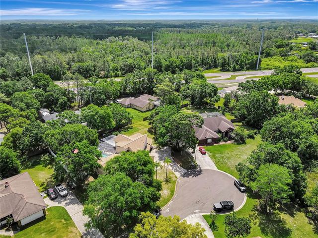 20003 HOLLY LAKE PLACE, Lutz, FL 33558