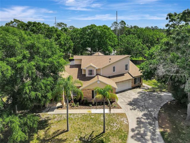 20003 HOLLY LAKE PLACE, Lutz, FL 33558
