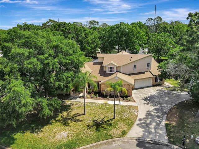 20003 HOLLY LAKE PLACE, Lutz, FL 33558