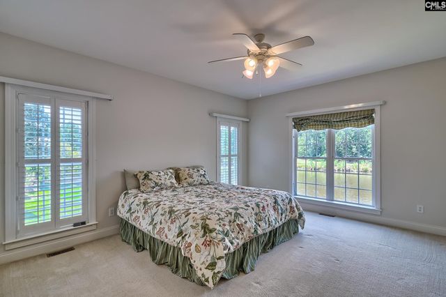 119 Lake Hilton Drive, Chapin, SC 29036