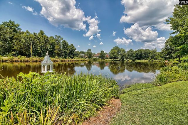 119 Lake Hilton Drive, Chapin, SC 29036