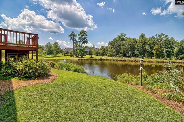 119 Lake Hilton Drive, Chapin, SC 29036