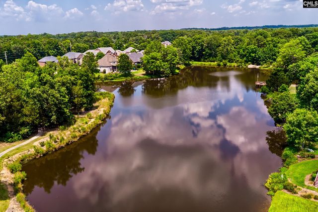 119 Lake Hilton Drive, Chapin, SC 29036