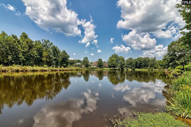 119 Lake Hilton Drive, Chapin, SC 29036