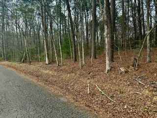 0 Tennessee 68, Turtletown, TN 37391