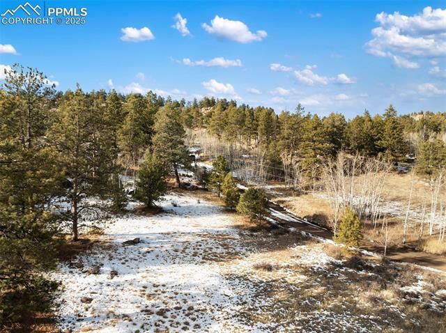 527 Plateau Drive, Guffey, CO 80820