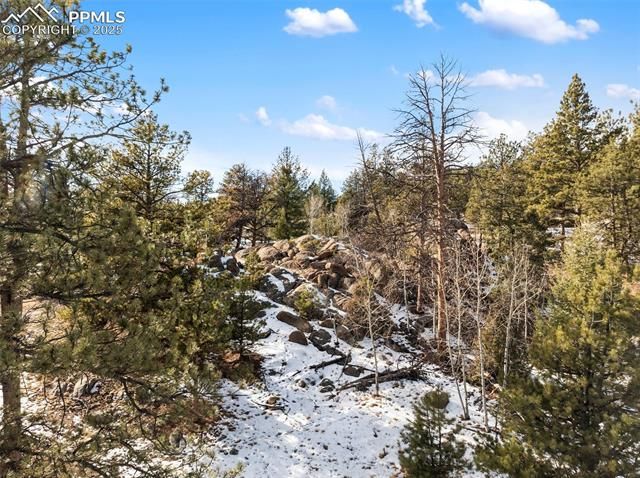 527 Plateau Drive, Guffey, CO 80820