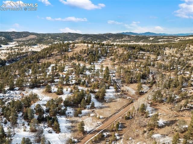527 Plateau Drive, Guffey, CO 80820