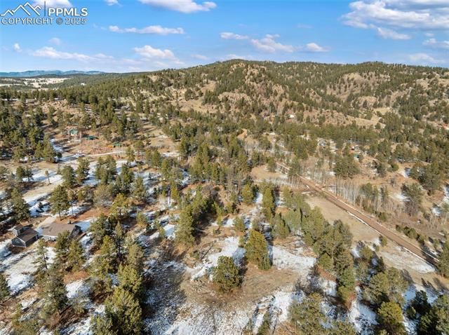 527 Plateau Drive, Guffey, CO 80820