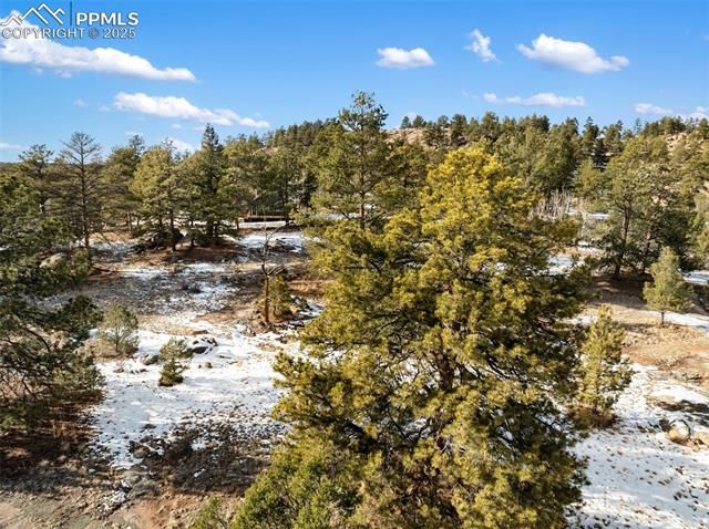 527 Plateau Drive, Guffey, CO 80820