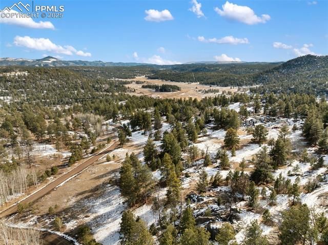 527 Plateau Drive, Guffey, CO 80820