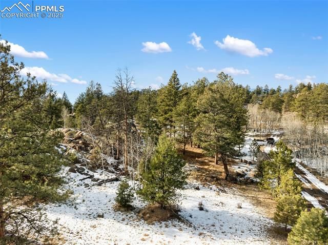 527 Plateau Drive, Guffey, CO 80820