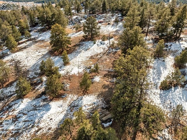 527 Plateau Drive, Guffey, CO 80820