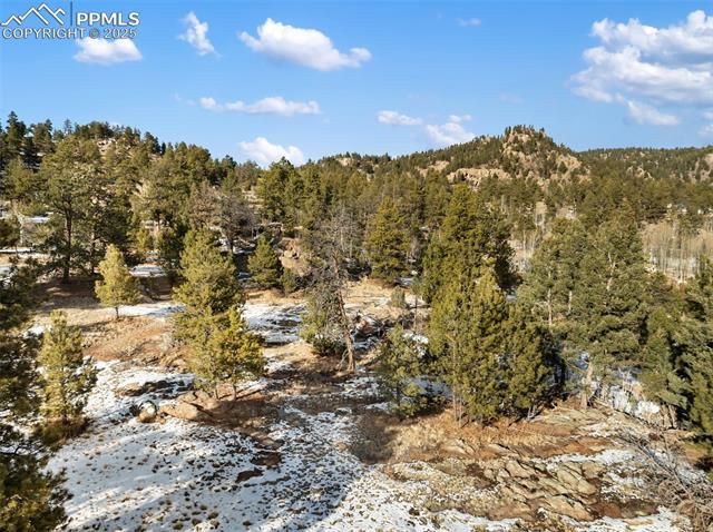 527 Plateau Drive, Guffey, CO 80820