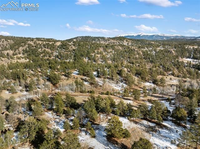527 Plateau Drive, Guffey, CO 80820